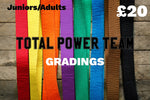 Grading - Juniors Adults